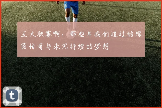 五大联赛啊,那些年我们追过的绿茵传奇与未完待续的梦想